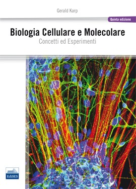 Biologia Cellulare e Molecolare