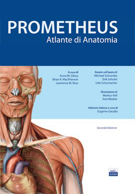 Atlante di Anatomia - Prometheus
